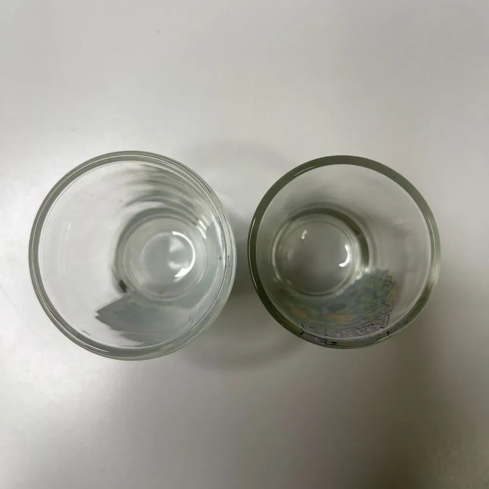 Lot of 2 Shot Glass Florida Sunshine State Illinois What Happens Here Stays Here